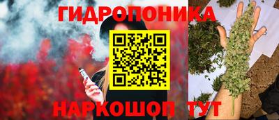гашик Бугуруслан