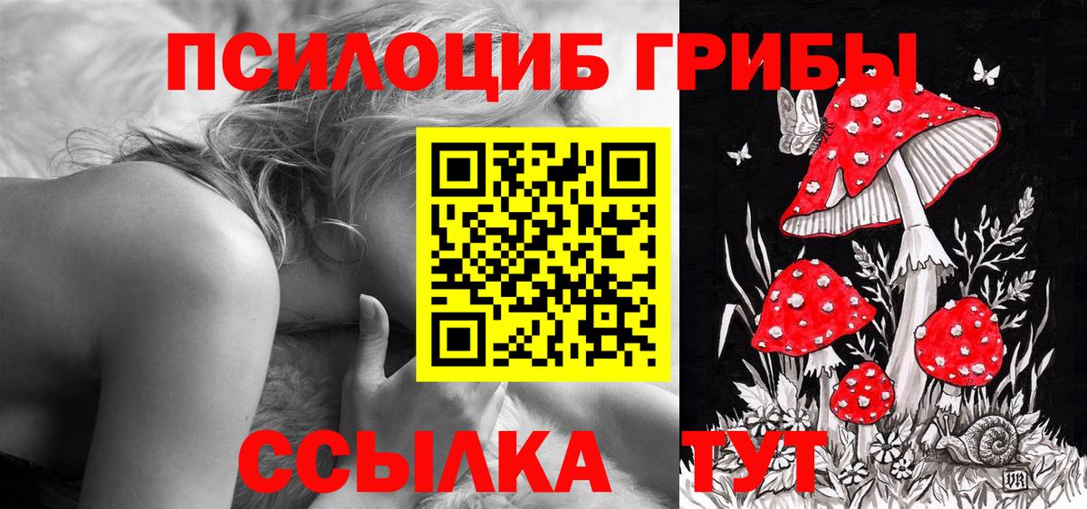 Наро-Фоминск  Псилоцибиновые грибы мухоморы  Вход с VPN  Галлюциногенные грибы прущие грибы 